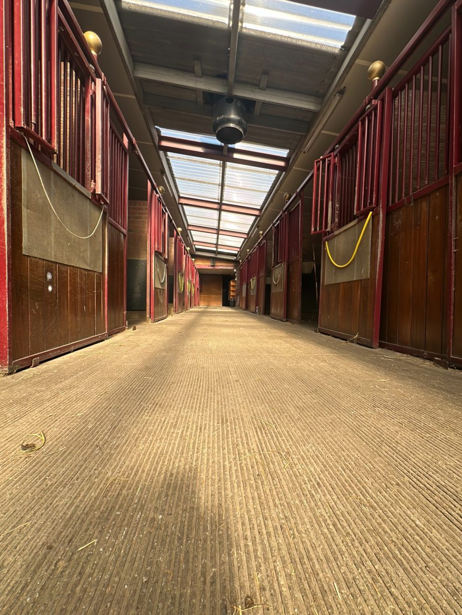 Doorzichtige stallen met houten wanden en een lange, rechte gang.